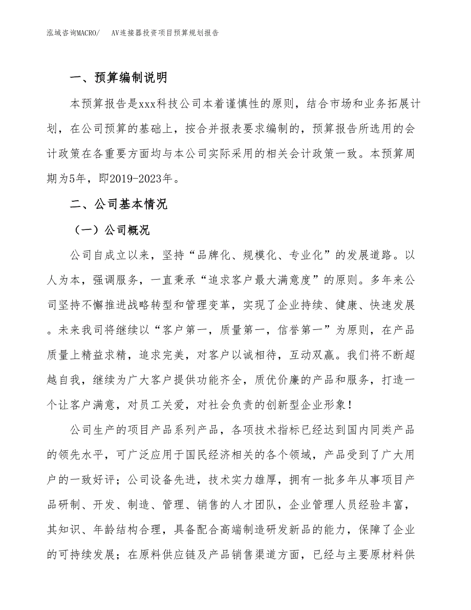 AV连接器投资项目预算规划报告_第2页