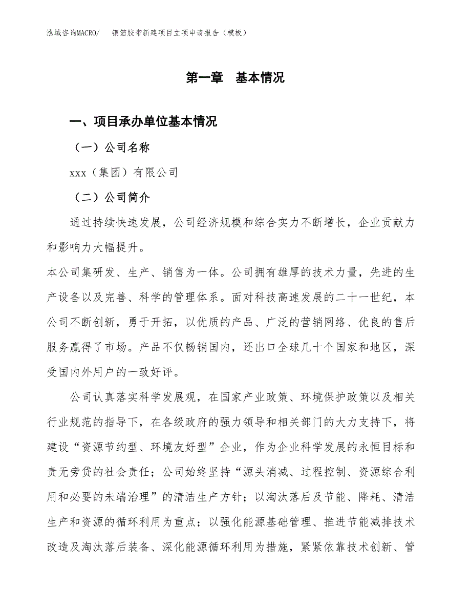 铜箔胶带新建项目立项申请报告（模板）_第4页