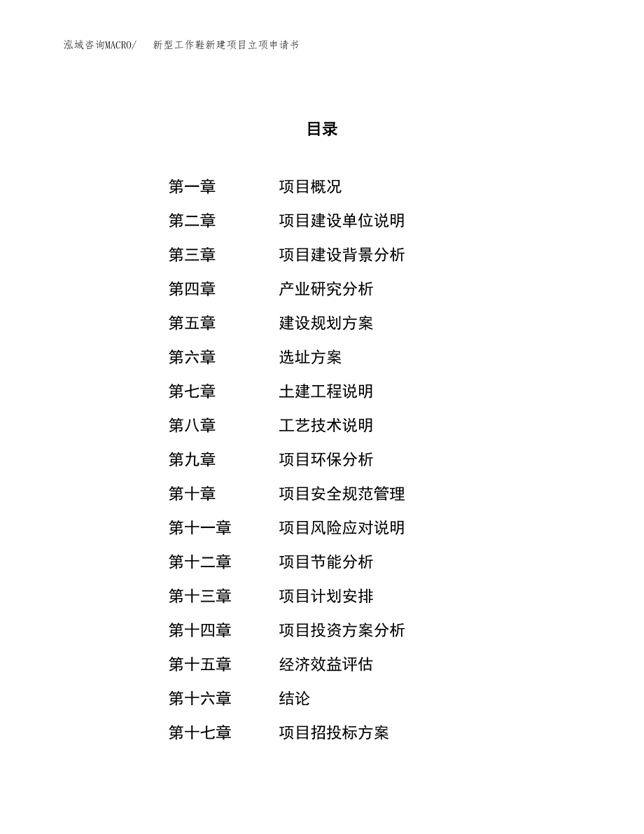 新型工作鞋新建项目立项申请书_第1页