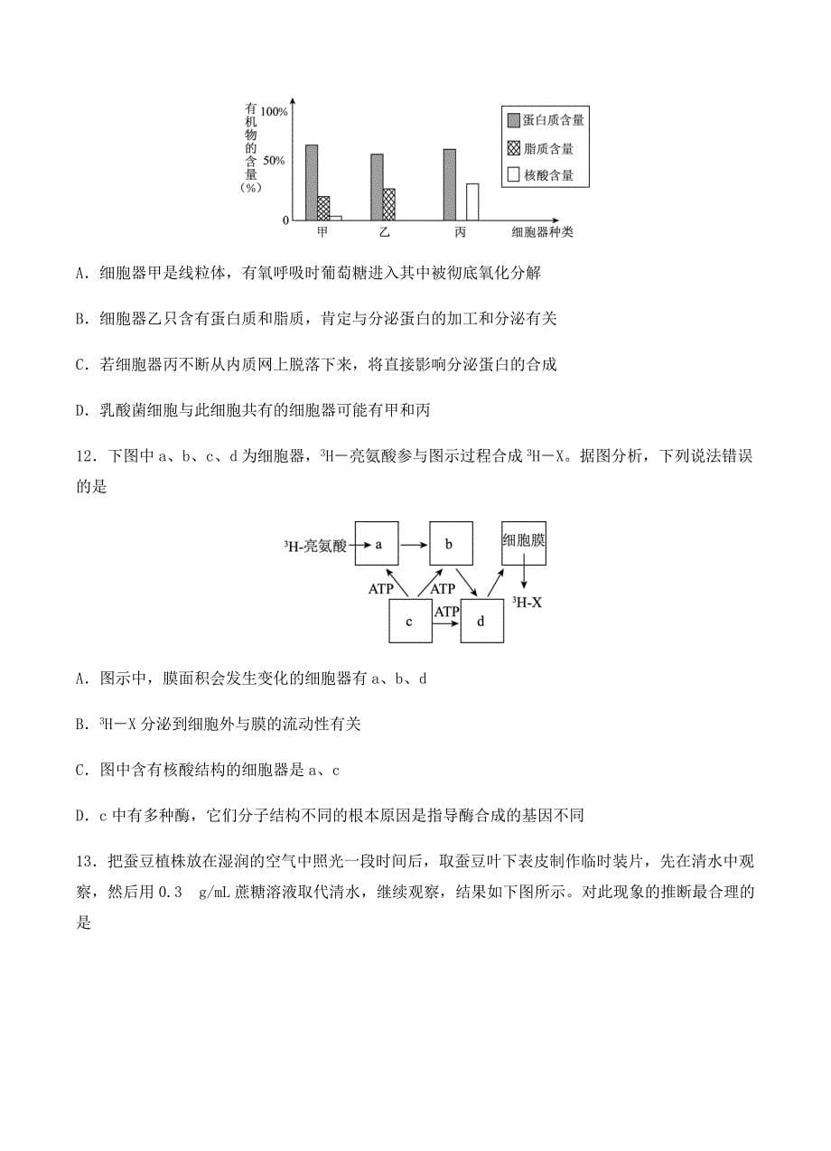 云南省2019届高三上学期第二次调研考试生物试卷含答案_第5页