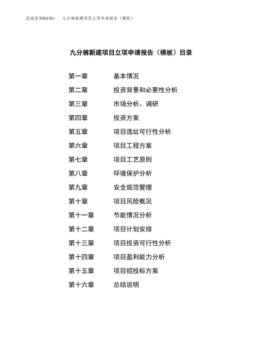 九分裤新建项目立项申请报告（模板）_第3页