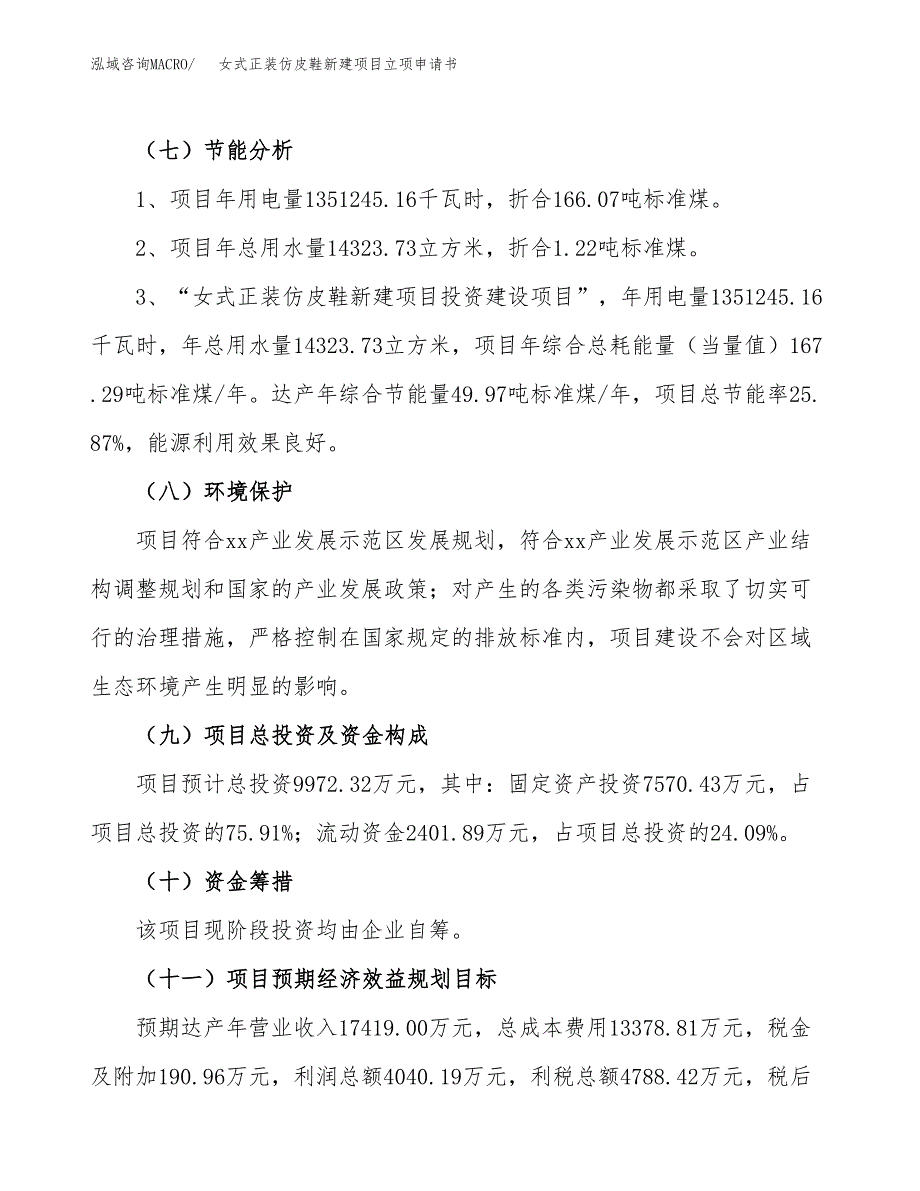 女式正装仿皮鞋新建项目立项申请书_第3页