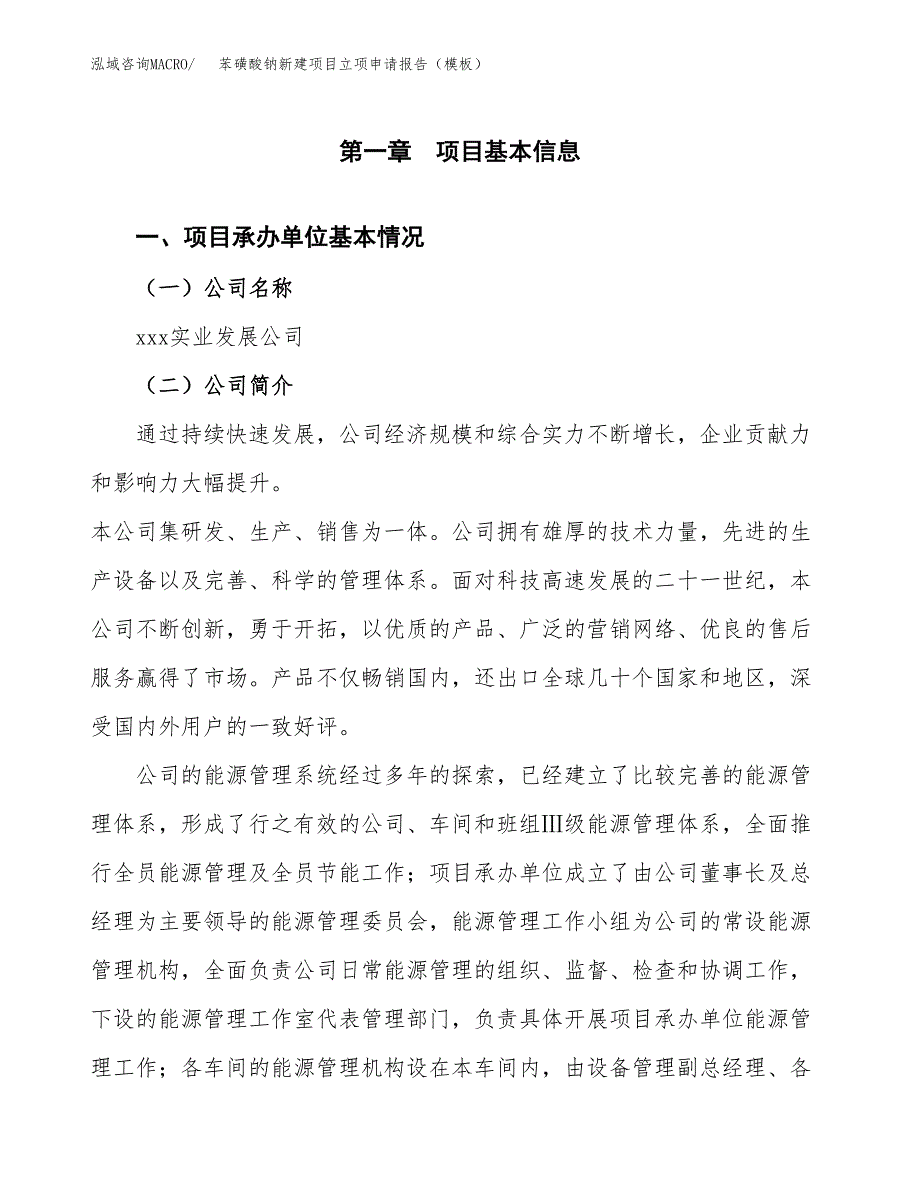 苯磺酸钠新建项目立项申请报告（模板）_第4页