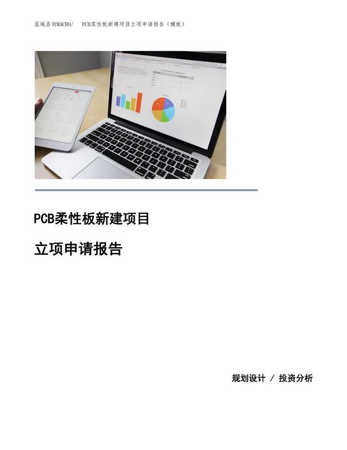PCB柔性板新建项目立项申请报告（模板）