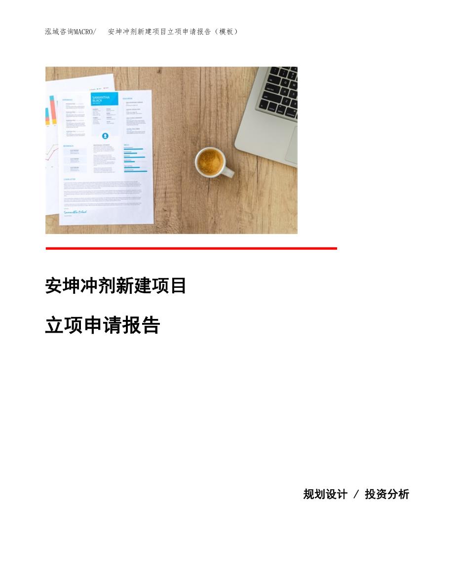 安坤冲剂新建项目立项申请报告（模板）_第1页