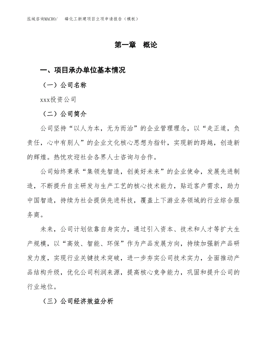 磷化工新建项目立项申请报告（模板） (1)_第4页