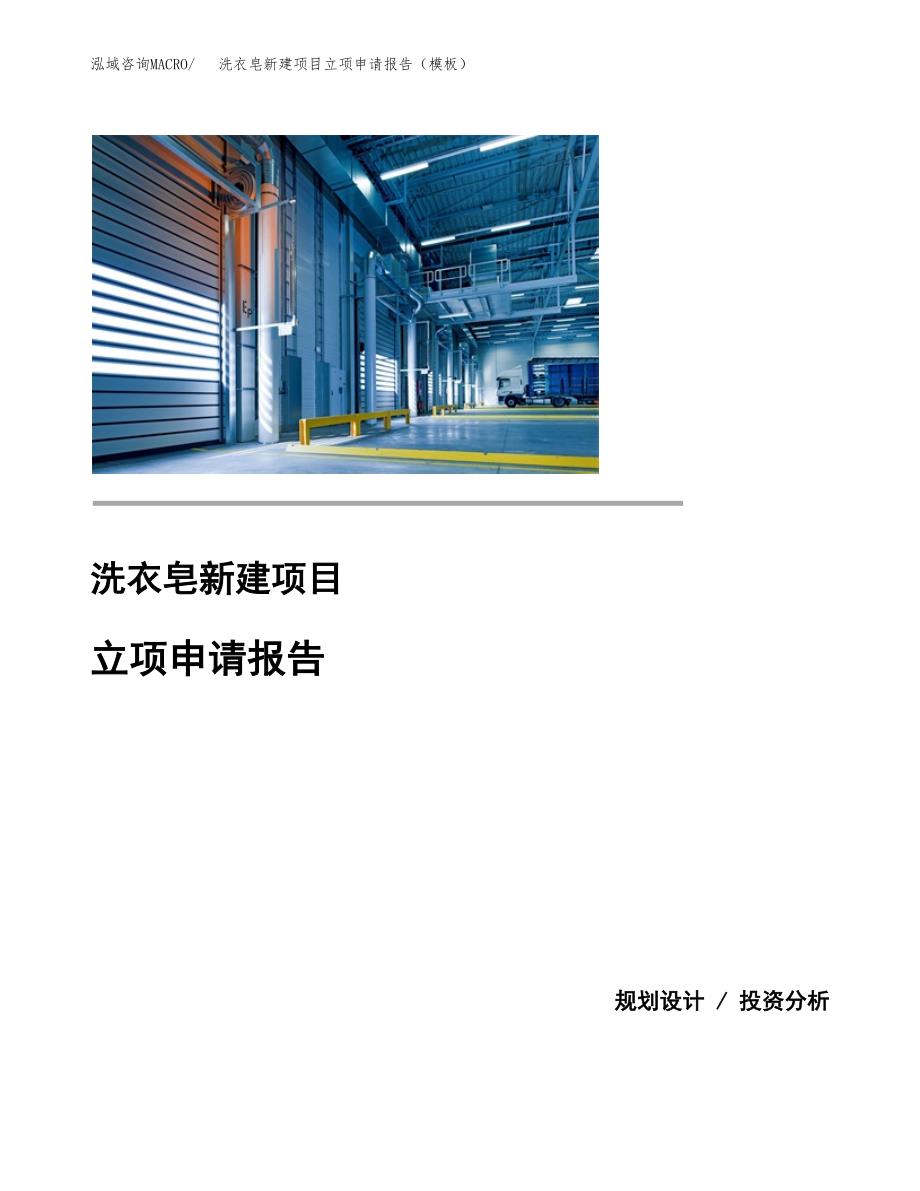 洗衣皂新建项目立项申请报告（模板）_第1页