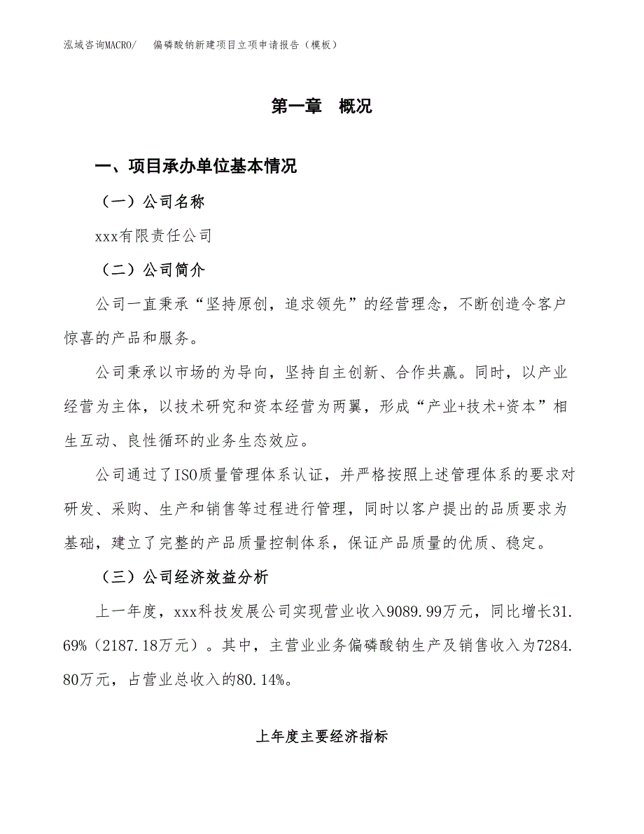 偏磷酸钠新建项目立项申请报告（模板）_第4页