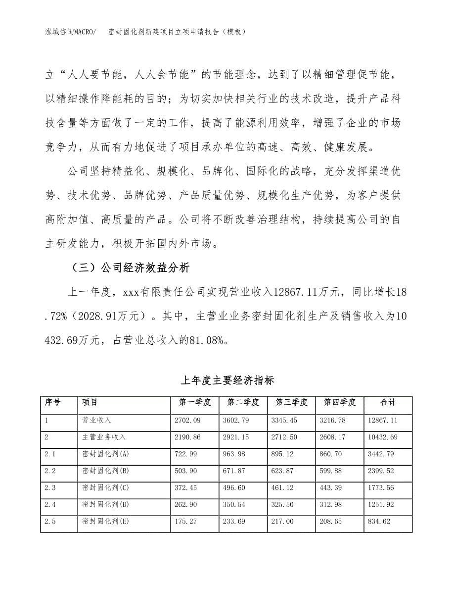 密封固化剂新建项目立项申请报告（模板）_第5页