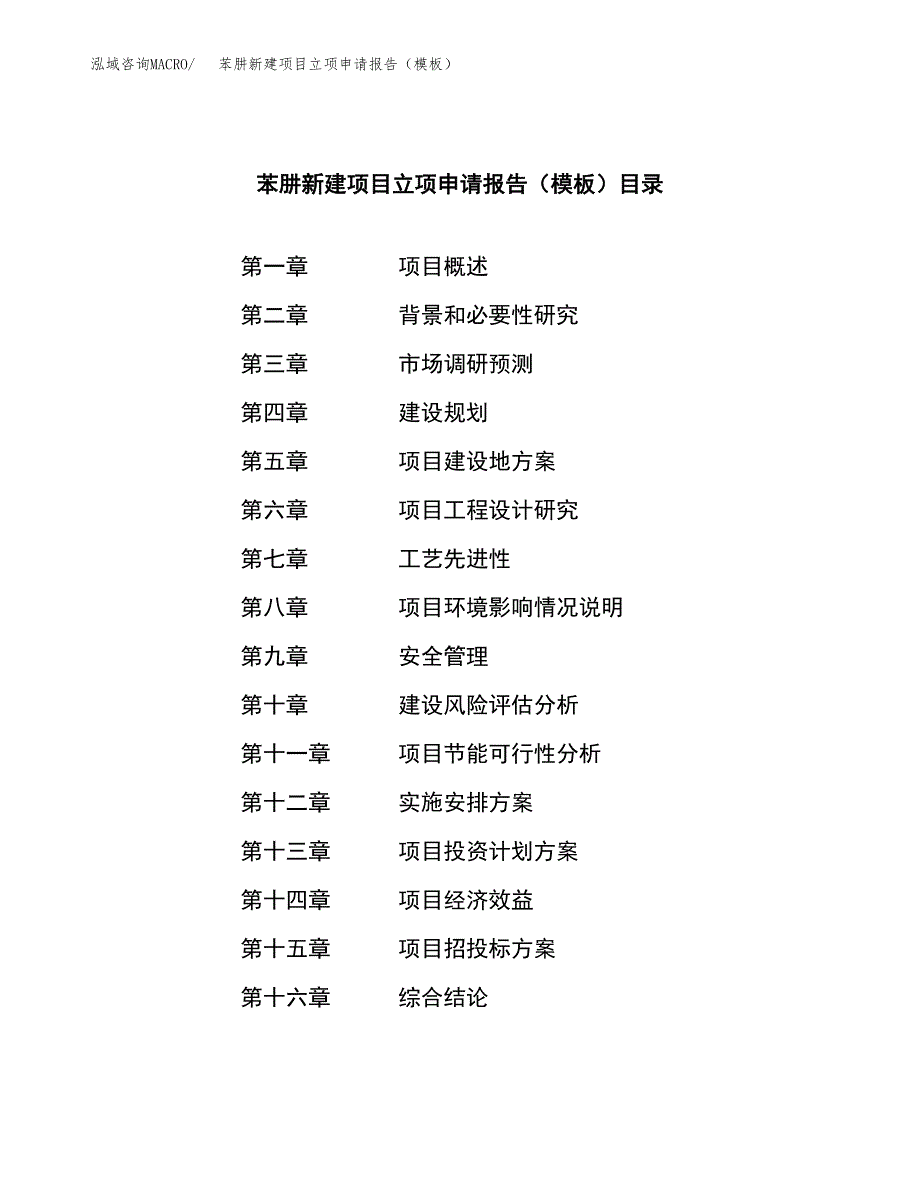 苯肼新建项目立项申请报告（模板）_第4页