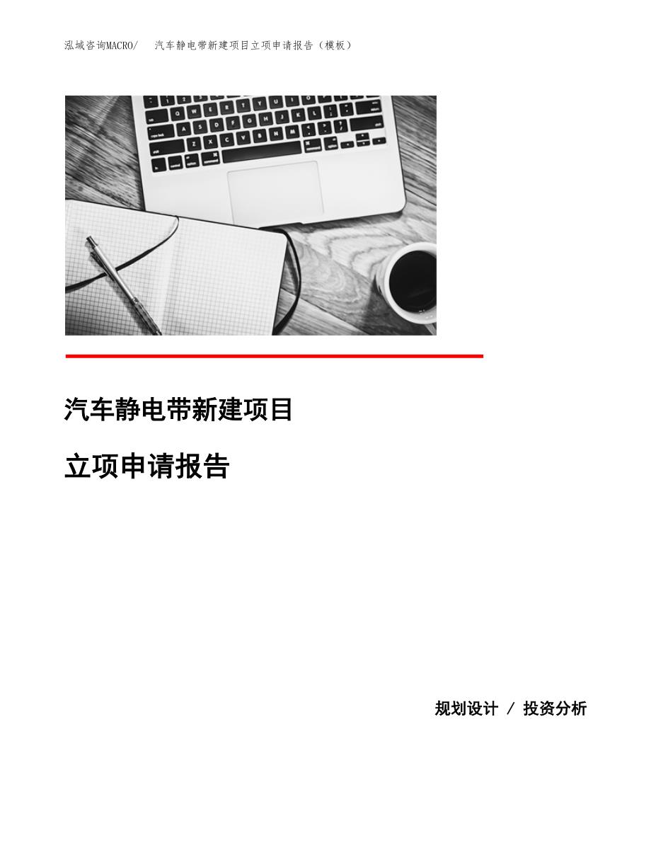 汽车静电带新建项目立项申请报告（模板） (1)_第1页