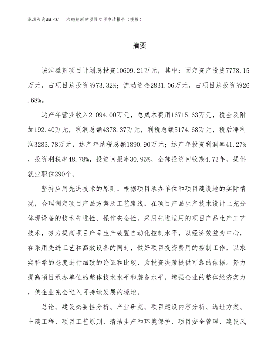 洁磁剂新建项目立项申请报告（模板）_第2页