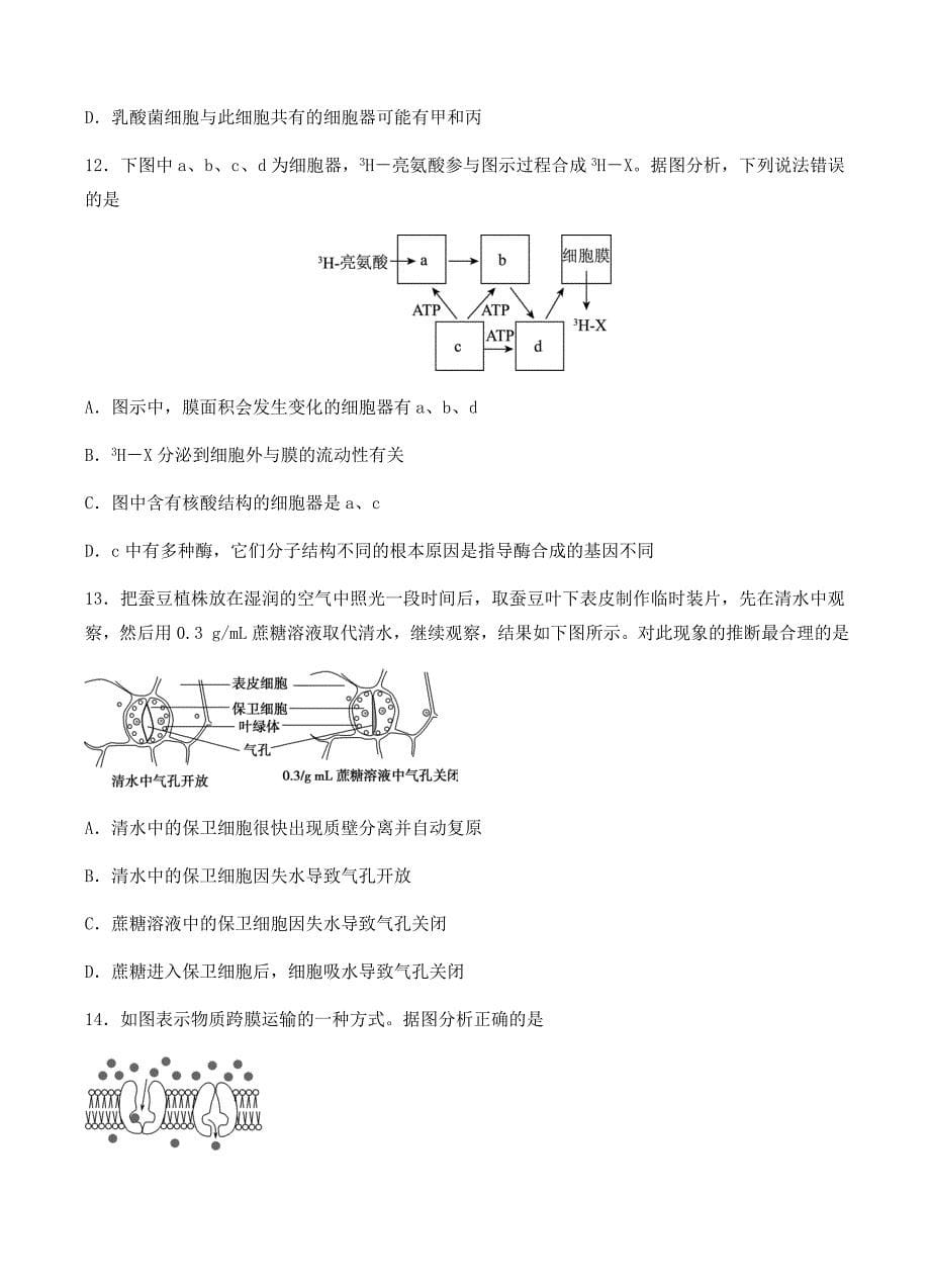 云南省2019届高三上学期第二次调研考试生物试卷含答案_第5页