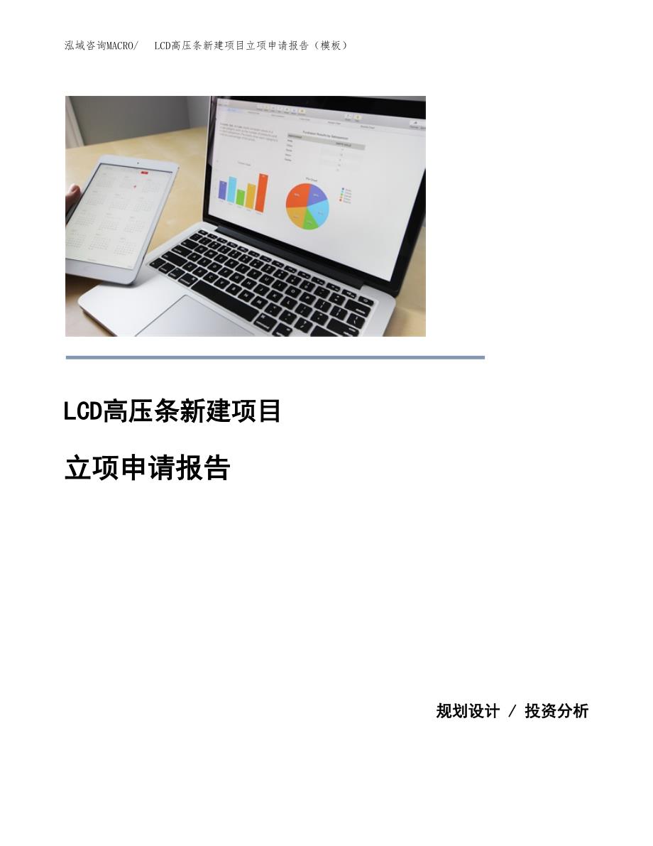 LCD高压条新建项目立项申请报告（模板）_第1页