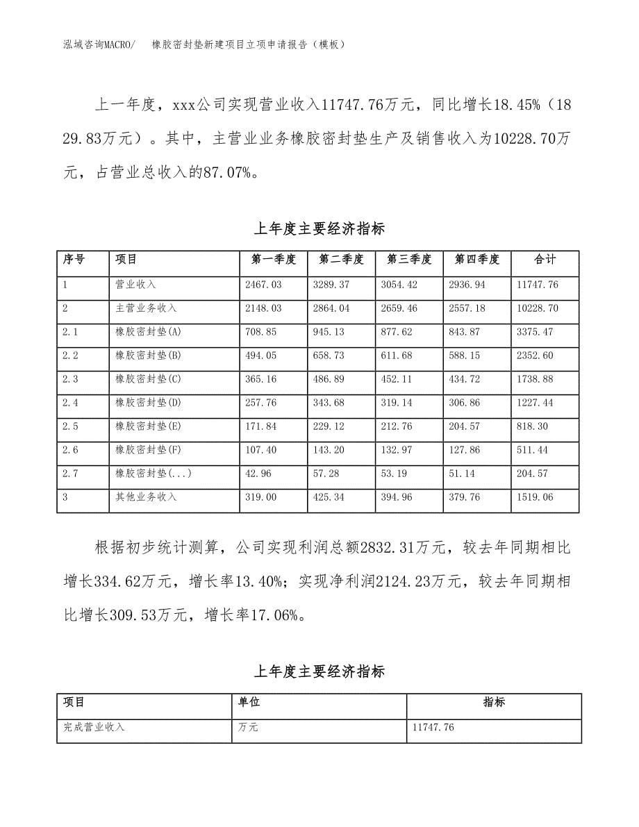 橡胶密封垫新建项目立项申请报告（模板）_第5页