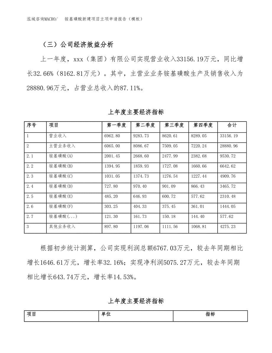 铵基磺酸新建项目立项申请报告（模板）_第5页