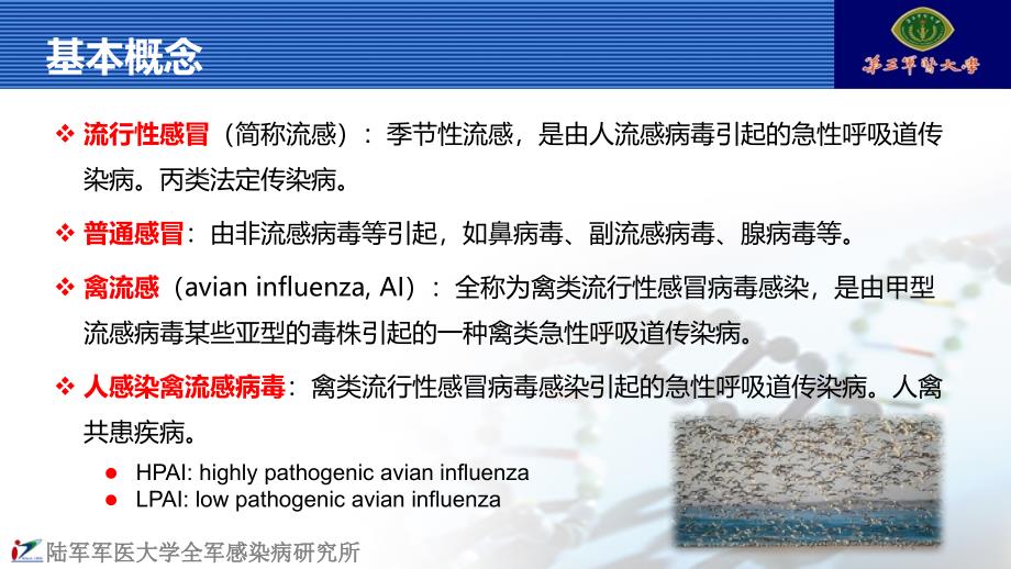 传染病流感病因分析与治疗课件_第2页