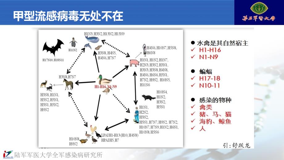 传染病流感病因分析与治疗课件_第4页