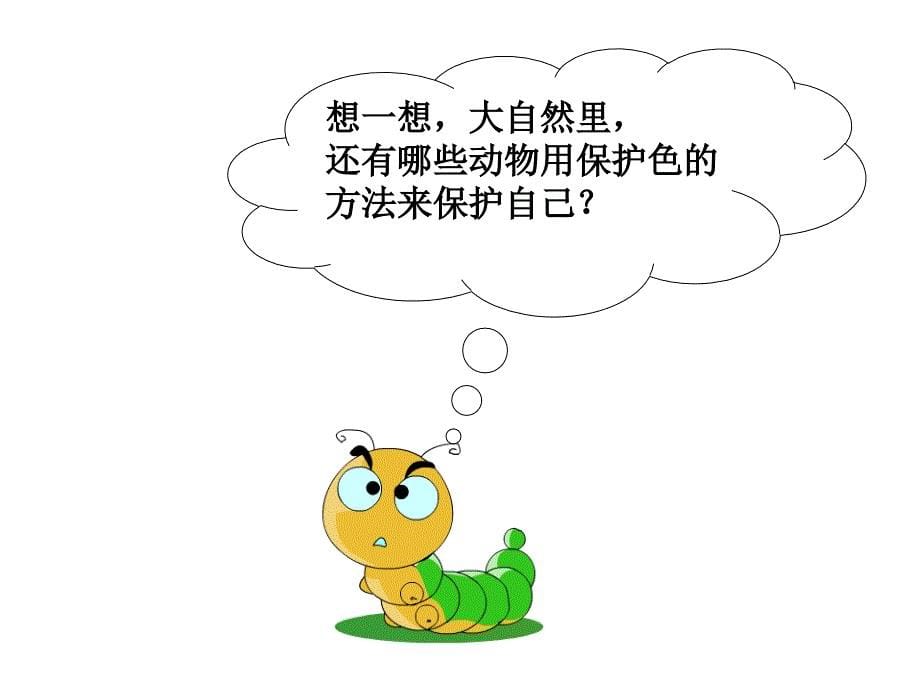 六年级科学上册变色龙.ppt_第5页