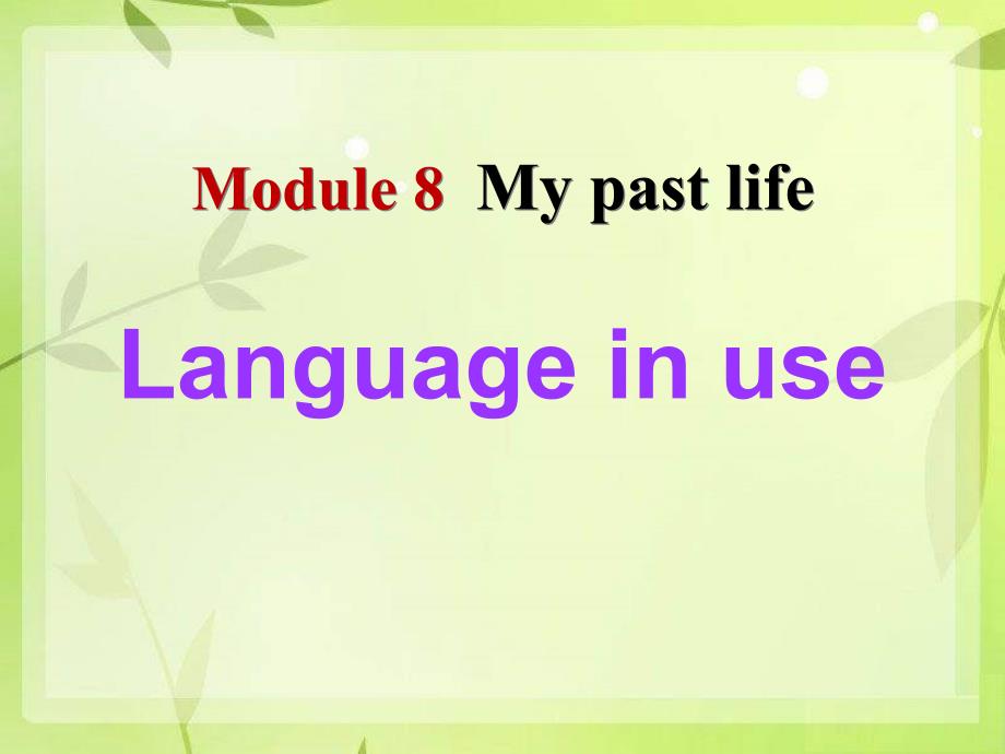Language in use my past life 1_第1页