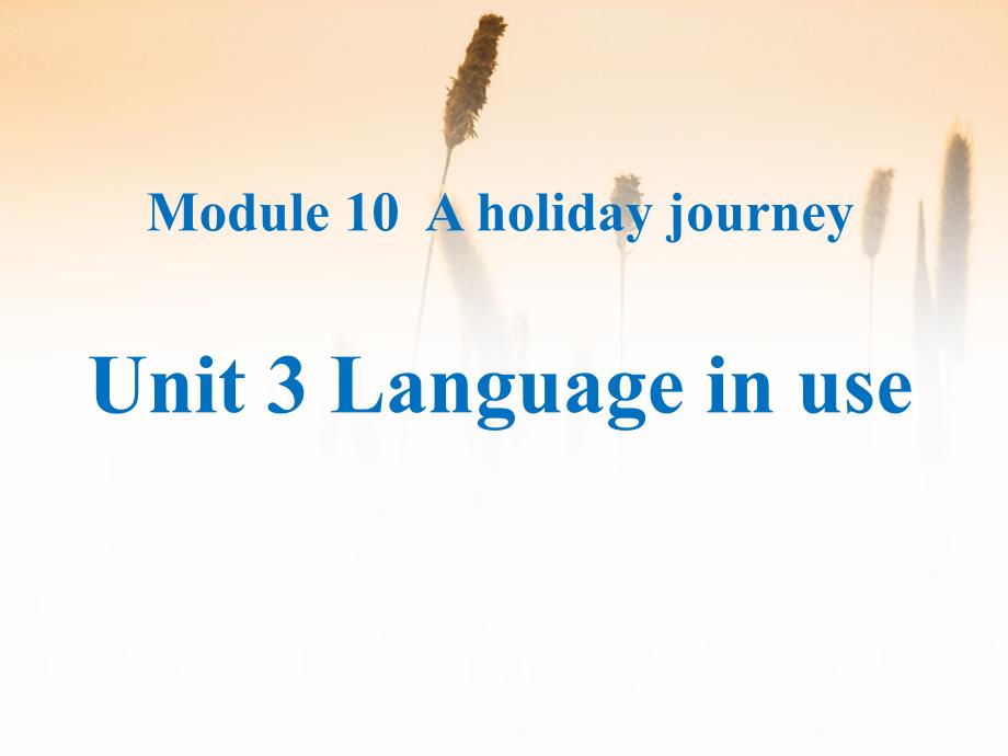 Language in use A holiday journey _第1页