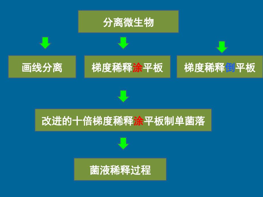 梯度稀释涂平板制单菌落.ppt_第2页