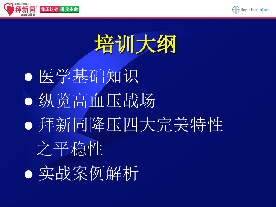 拜新同GITS优势.ppt_第2页