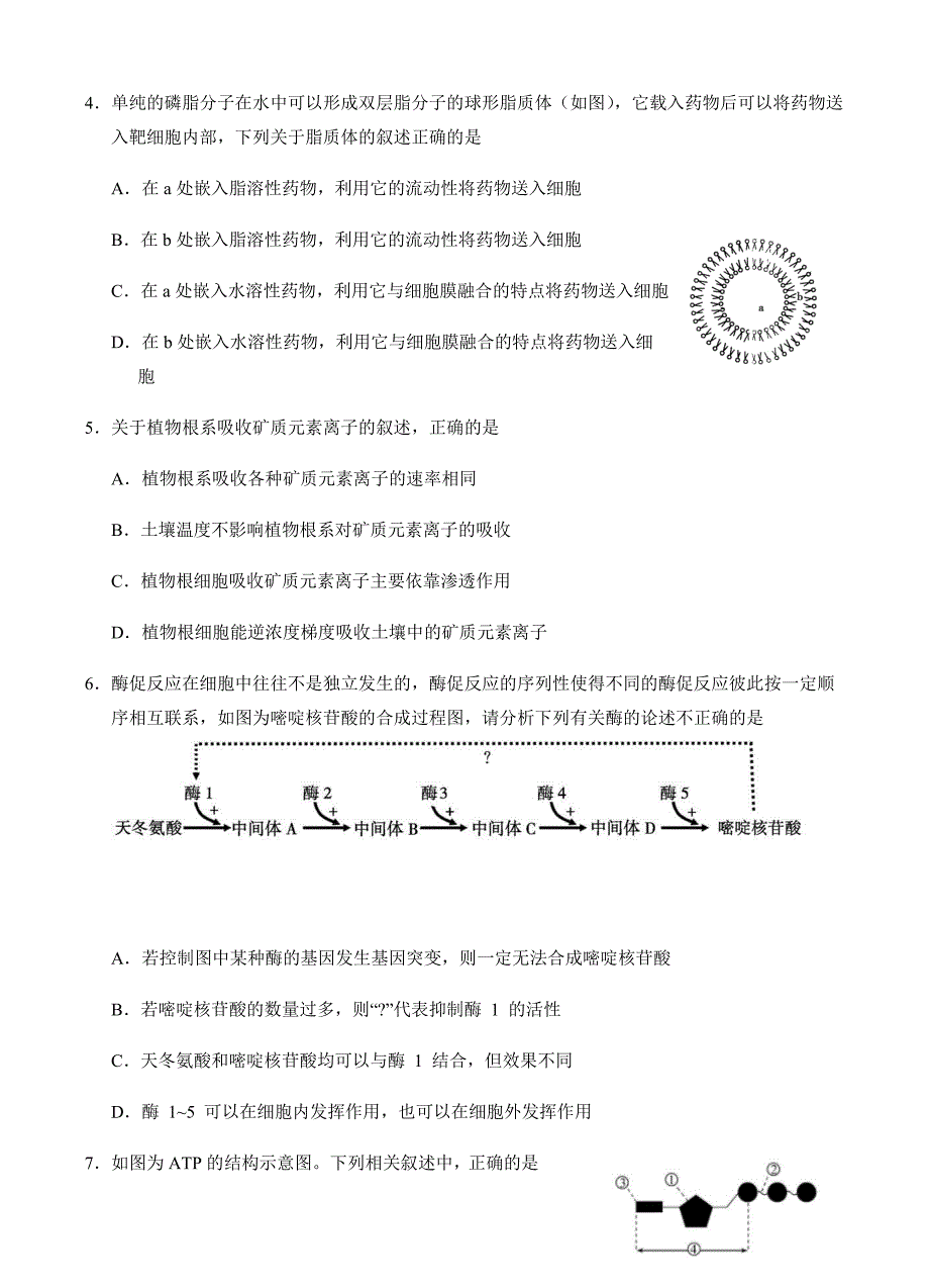 福建省2019届高三1月月考生物试卷 有答案_第2页