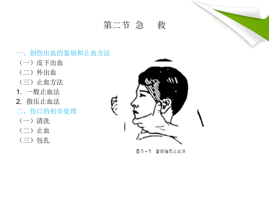 小学生生理卫生 高职 初等教育小学生生理卫生 第五章_第4页