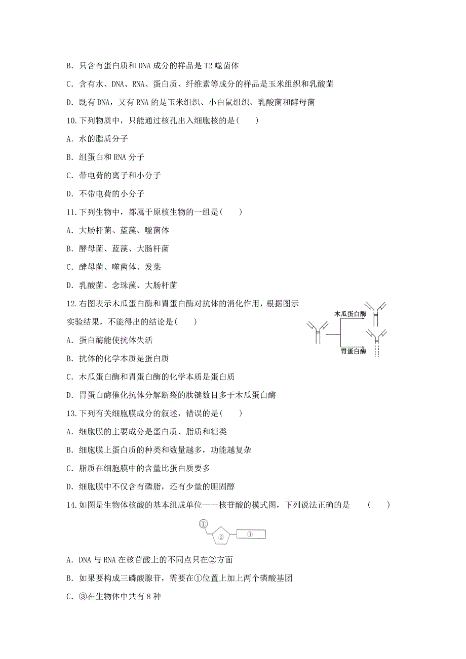 2011年高一上学期期中考试生物模拟试题24_第3页