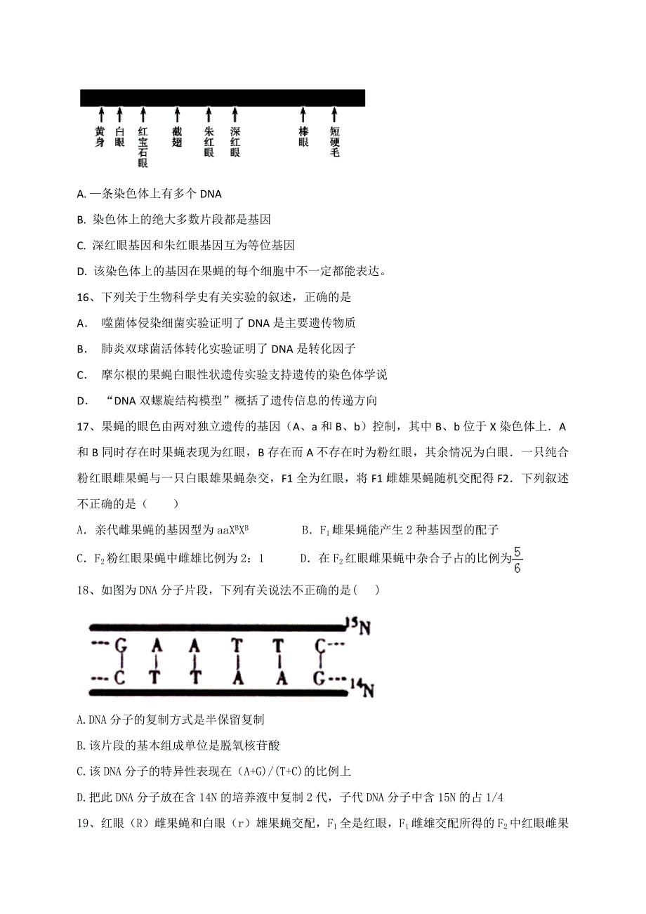 宁夏石嘴山市第三中学2019届高三12月月考生物试题---精校Word版含答案_第4页