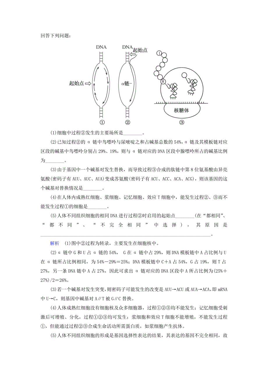 2015届高考生物一轮双基演练：第20练基因指导蛋白质的合成与基因对性状的控制_第3页