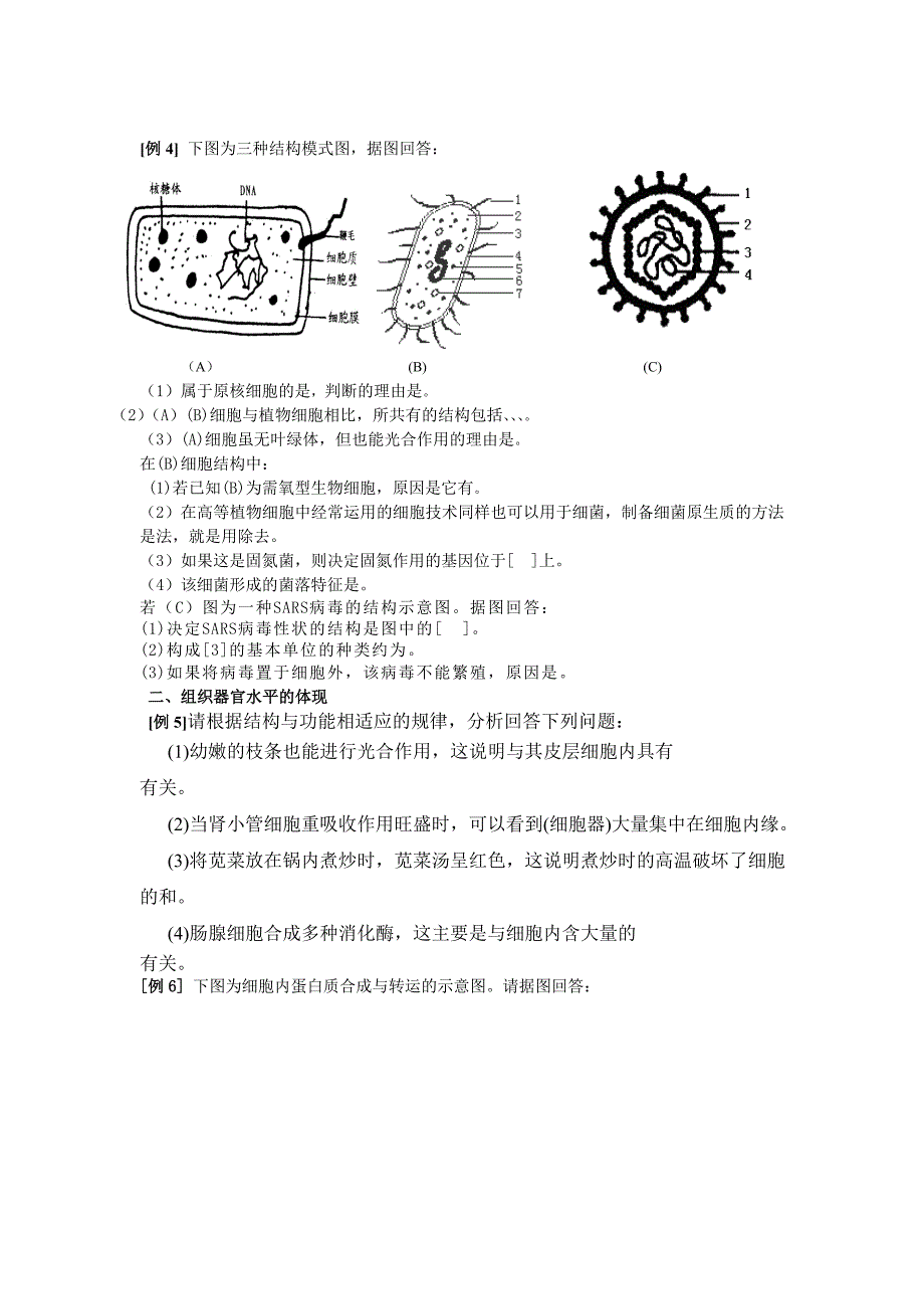 2014届高考生物一轮复习专题精选学案：《细胞和细胞工程》（苏教版）_第3页