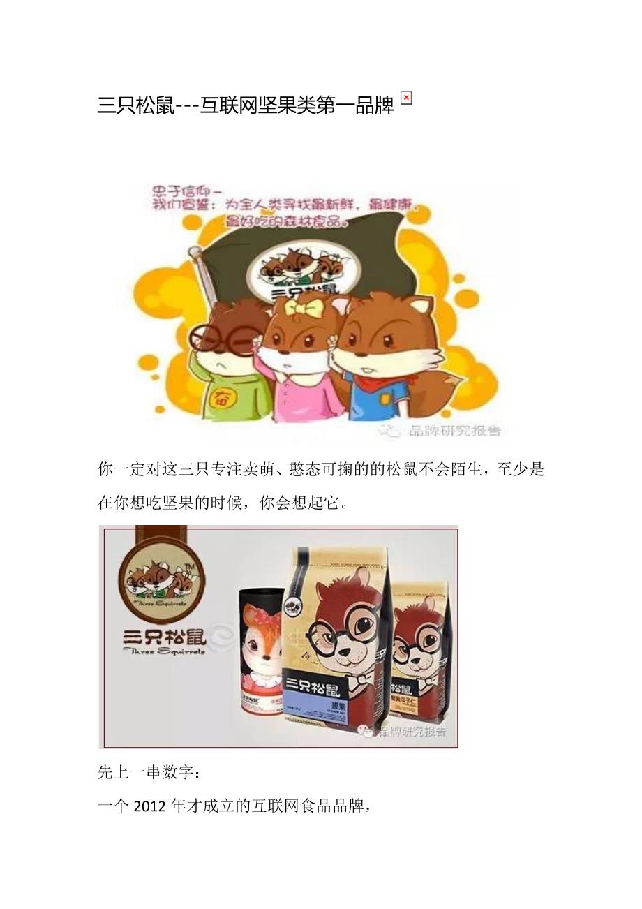 三只松鼠---互联网坚果类第一品牌_第1页