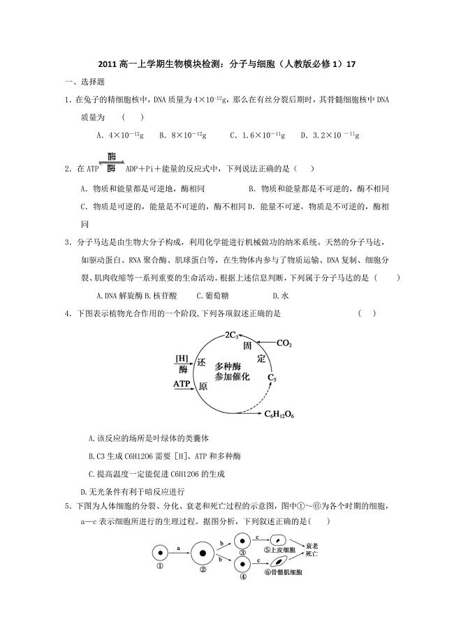 2011高一上学期生物模块检测：分子与细胞（人教版必修1）17