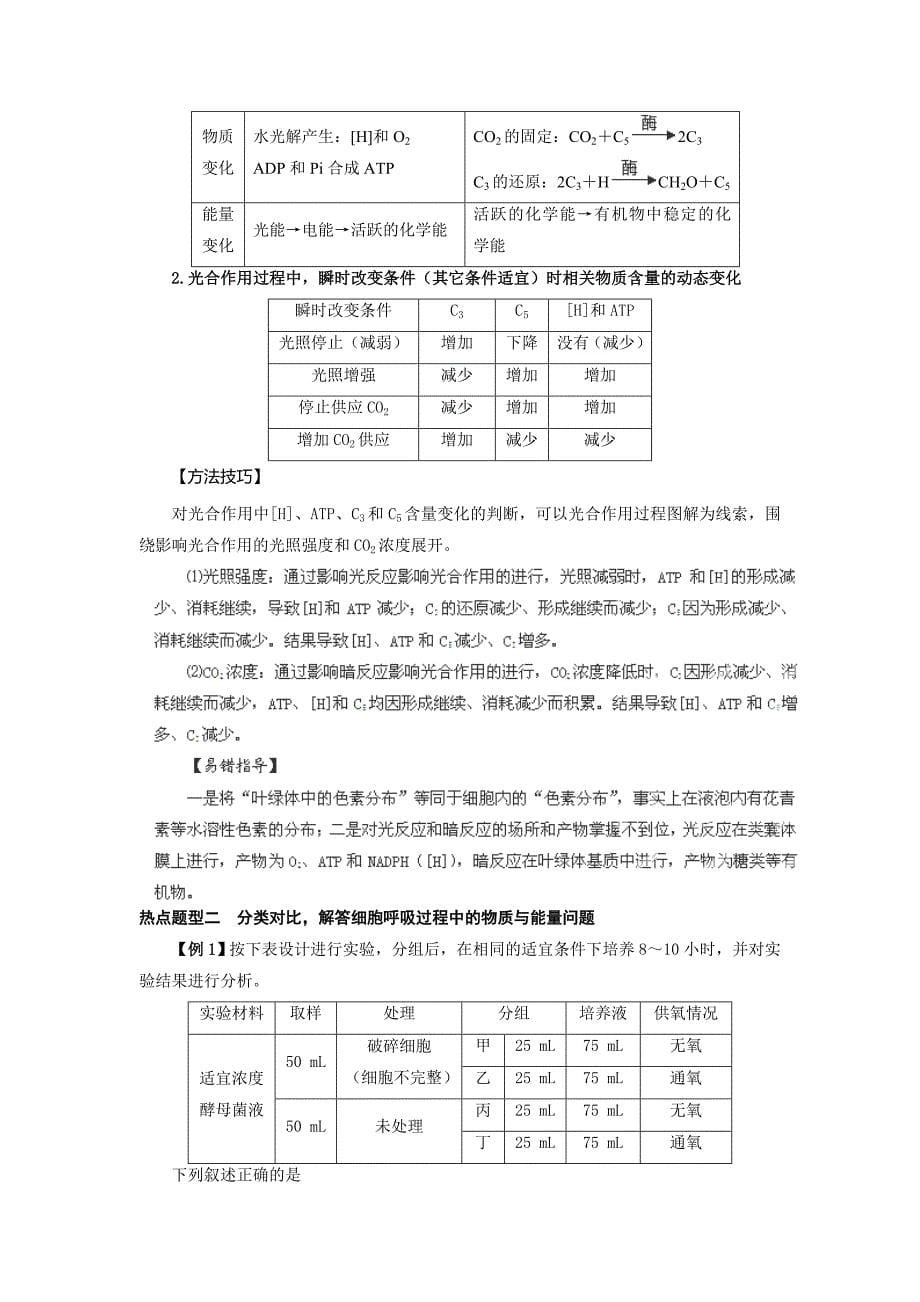 2013届高三生物学案：专题05《光合作用和细胞呼吸》_第5页