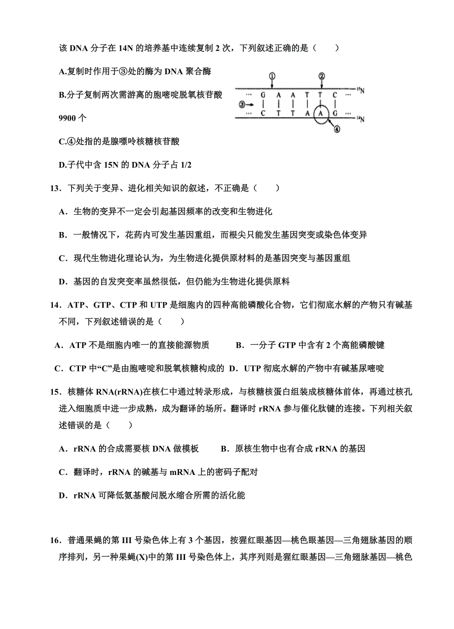 山东省淄博第一中学2019届高三上学期期中考试生物试卷 有答案_第4页