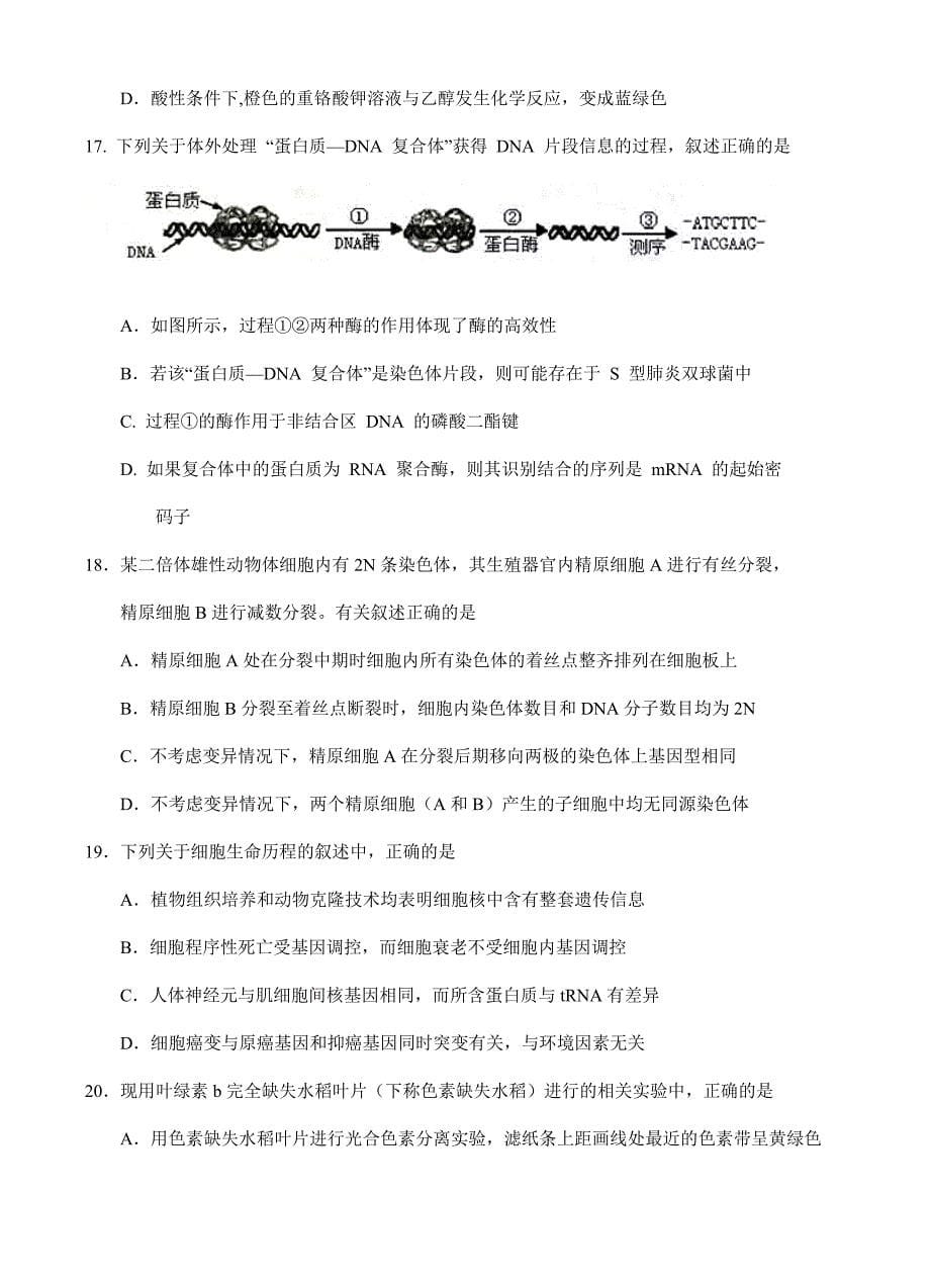 福建省2019届高三11月月考生物试卷 有答案_第5页