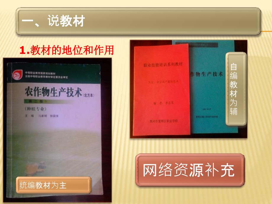 大豆播种技术创新杯说课大赛国赛说课课件_第3页