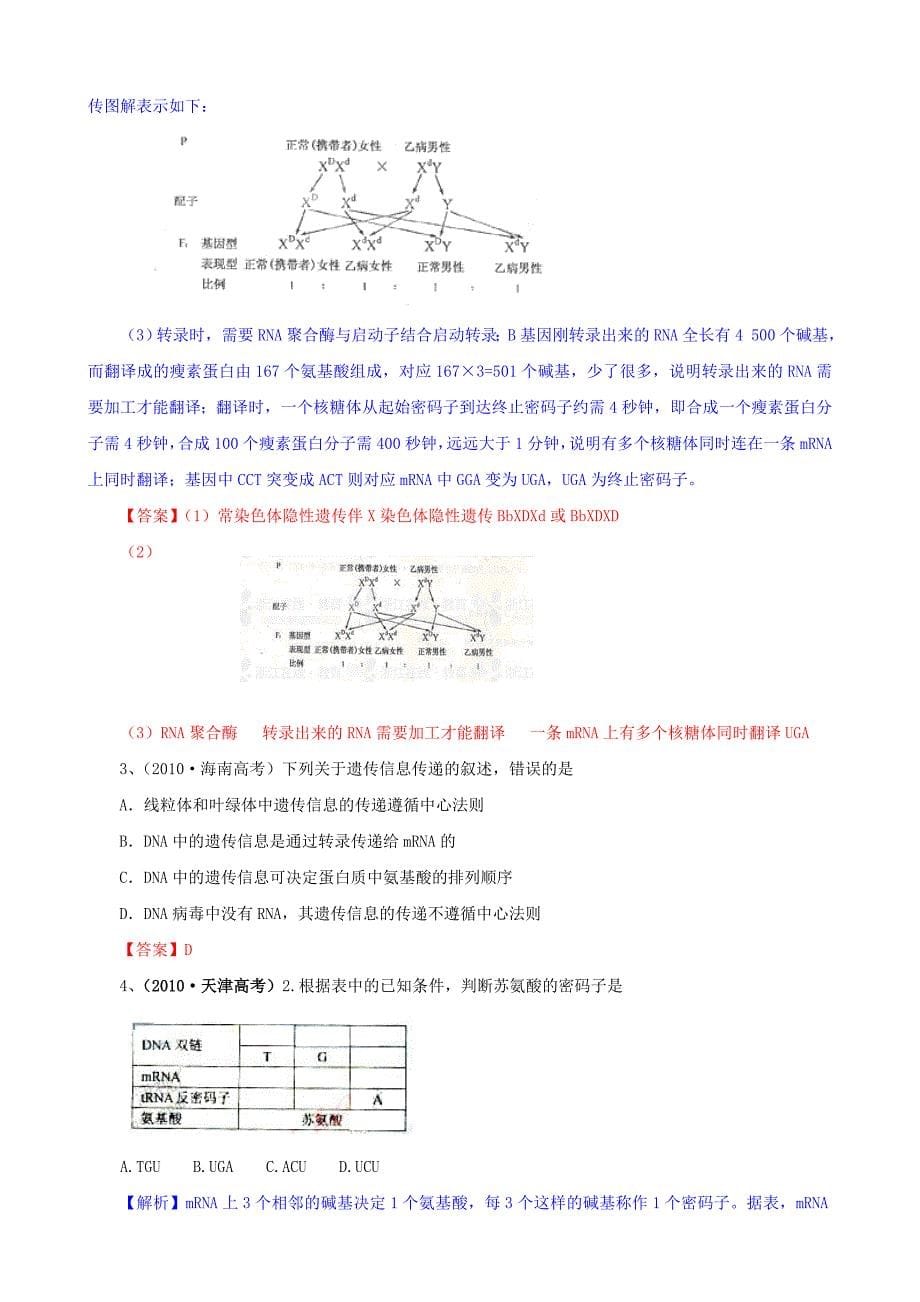 2012版生物一轮精品复习学案41 基因指导蛋白质的合成_第5页