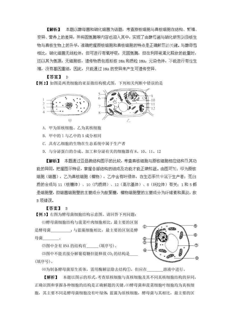 2013届高三生物学案：专题02《细胞的结构》_第5页