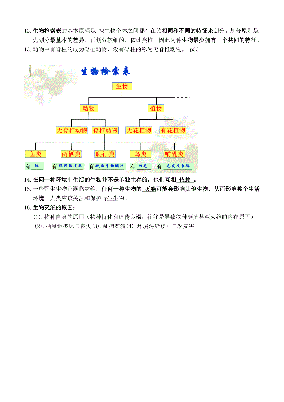 上海初中科学会考知识点汇总——六年级第一学期牛津版_第4页