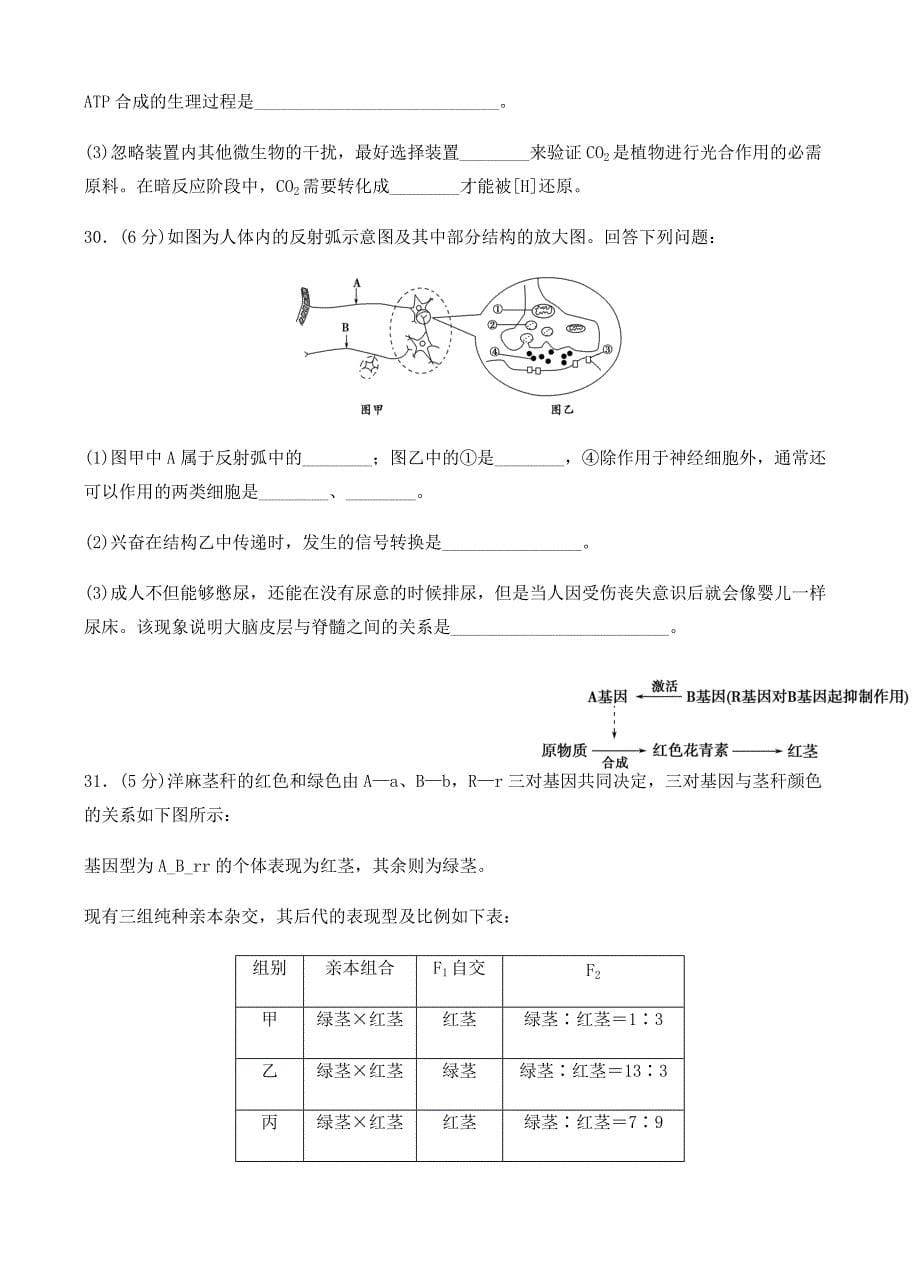 吉林省2019届高三上学期期末考试生物试卷 有答案_第5页