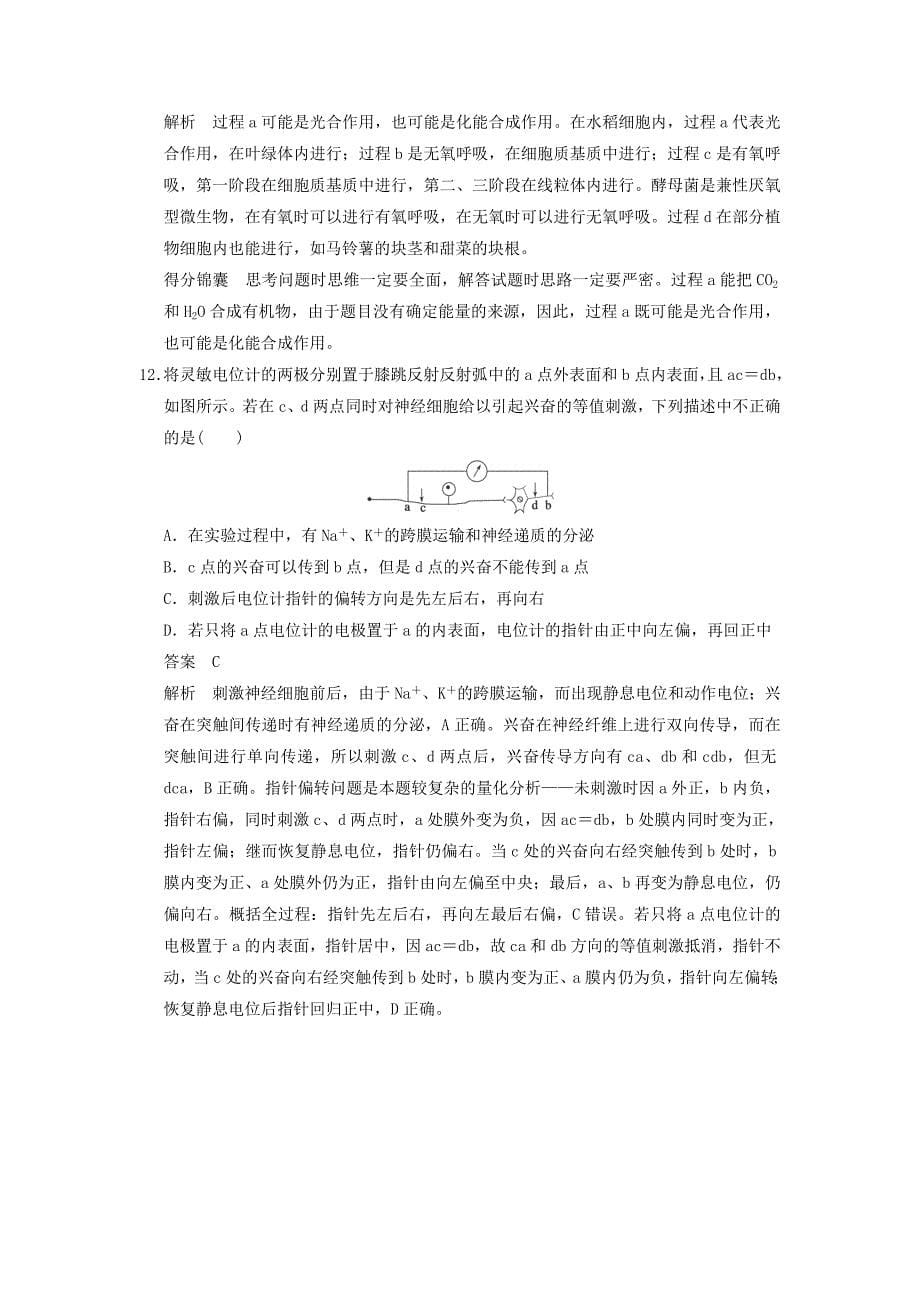 2015届高三生物二轮优化训练：题型1概念原理类解题模板练_第5页