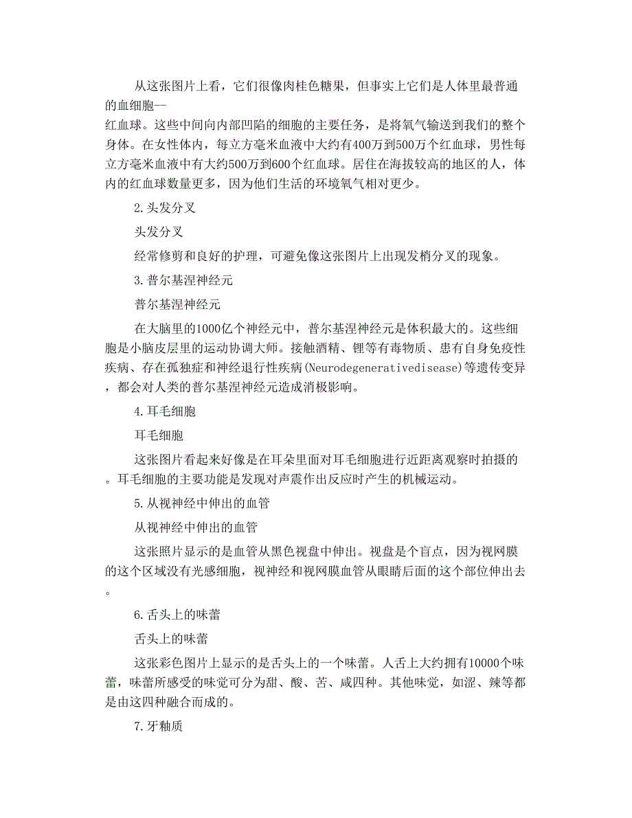 电子显微镜 下人体的内部情况【艺术美图】_第2页