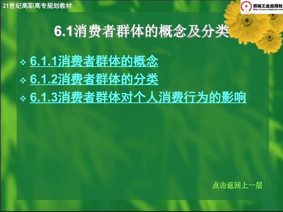 消费心理学及实务 教学课件 ppt 作者 谢忠辉主编 第6章-消费者群体的消费心理与行为_第4页