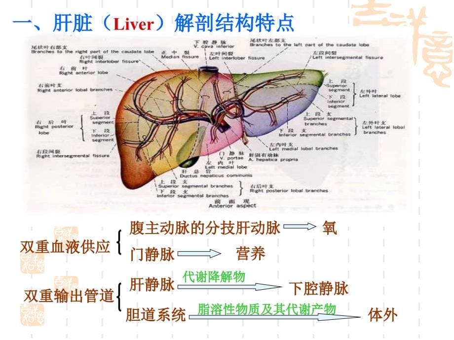 肝胆疾病的生物化学诊断_1课件_第5页