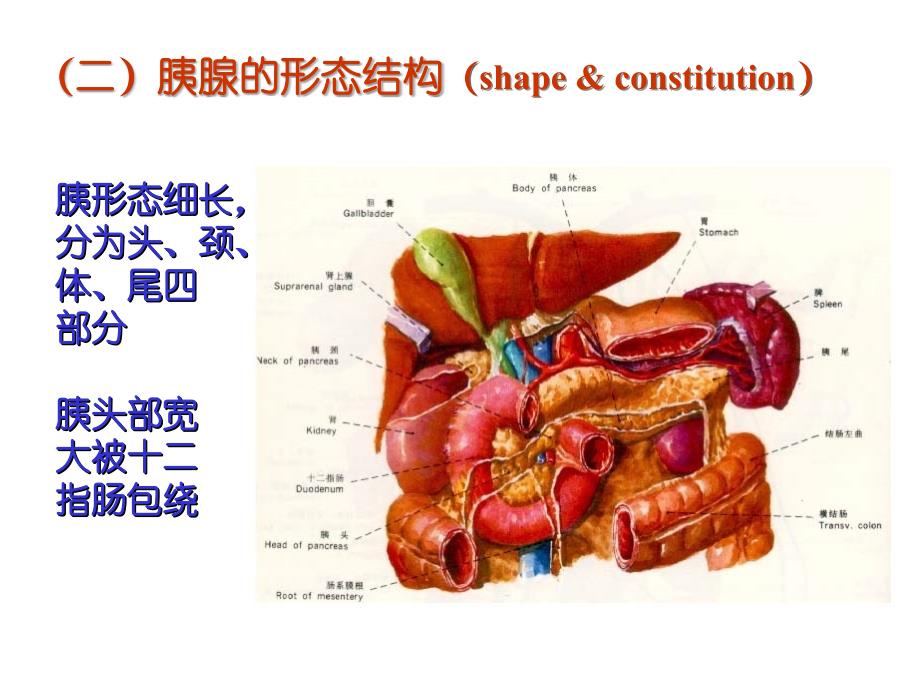 急性胰腺炎病因课件_第4页