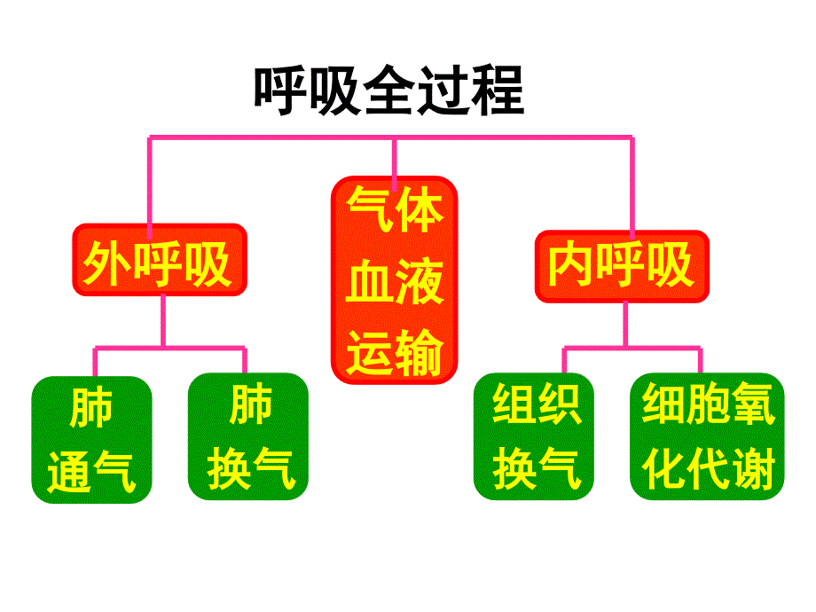 病理生理学网络幻灯片第15章呼吸功能全课件-ppt文档_第2页