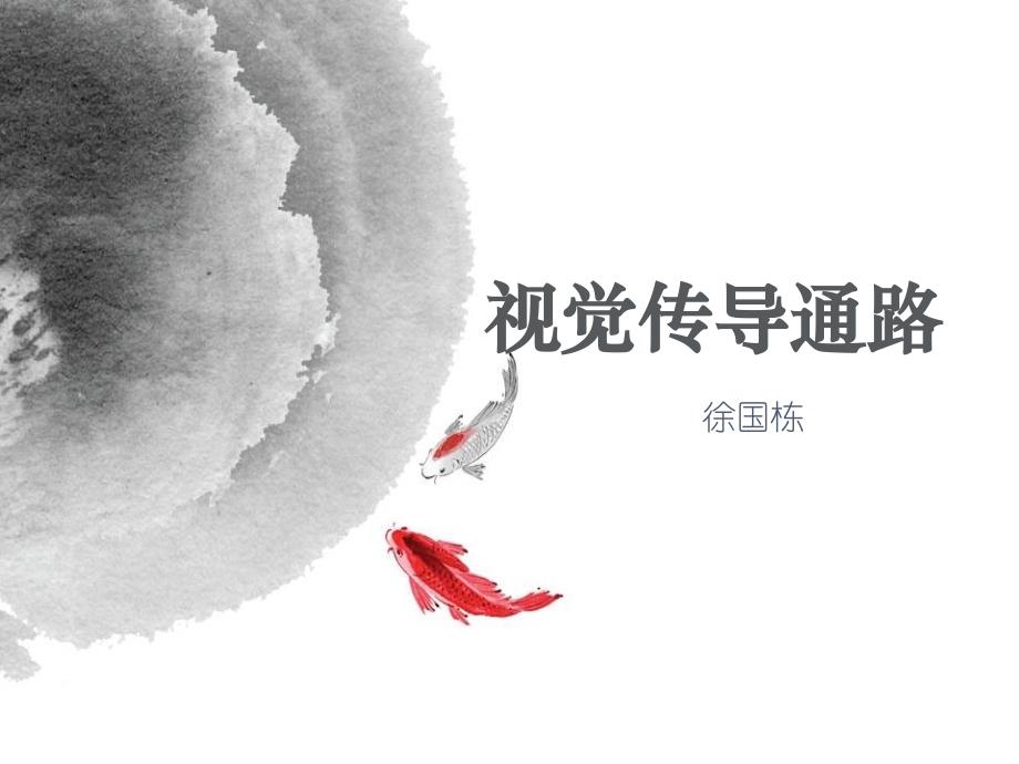 视觉传导通路1资料课件_第1页